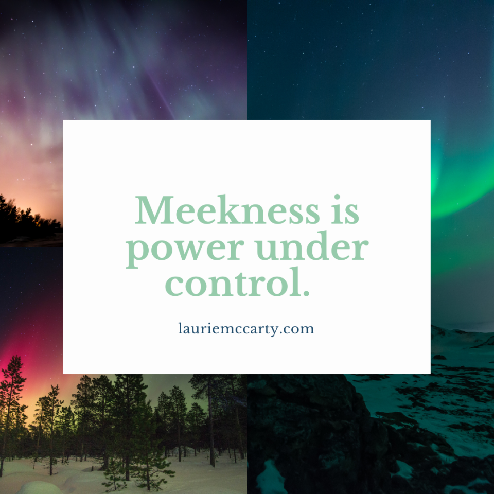 the-power-of-meekness-laurie-mccarty